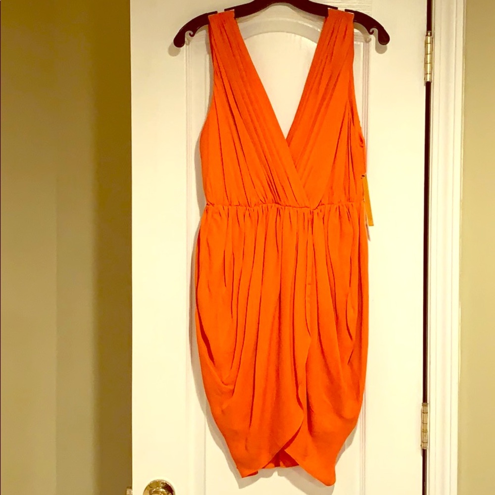 Alice and Olivia dress